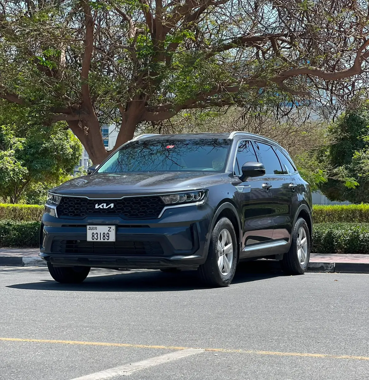 Kia Sorento 2024 or simmilar